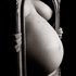 gravid04