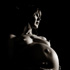 gravid07