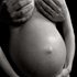 gravid11