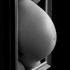 gravid13