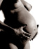 gravid16