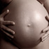 gravid17