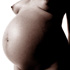 gravid18